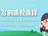 学校招生平台网-初升高招生网