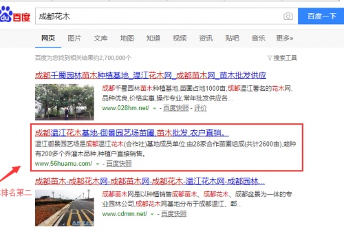 成都花木，成都苗木简单的指导直接上百度首页